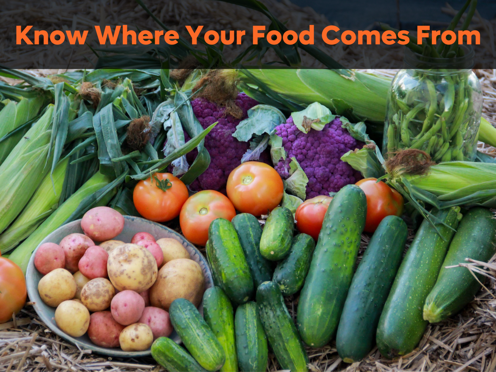 NATIONAL CSA WEEK FEB. 21 - 28, 2021